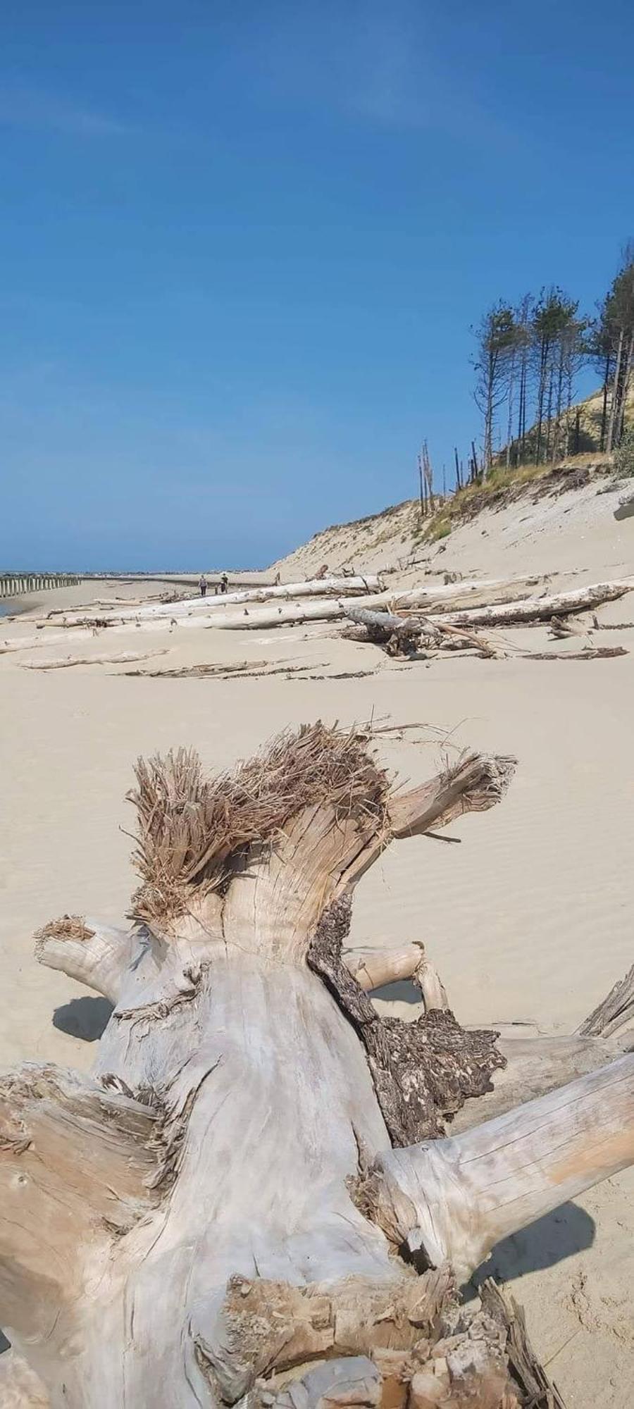 Lachez Prise Sauna Balneo Privatif En Baie D'authie Berck Sur Meuble De Tourisme Classe 3 Etoiles * Verton
